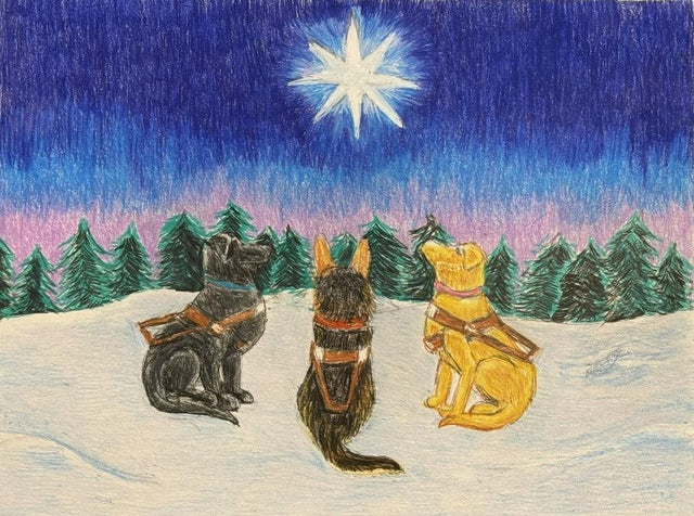 Drawn in colored pencil, three guide dogs in harnesses sit together and look up at a star. In the background, the night sky has a pink to purple gradient, and the horizon is lined with evergreen trees. The dogs sit on the snowy ground. 